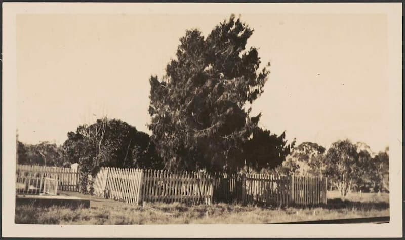 Early pioneer's grave, Bungonia Cemetery.